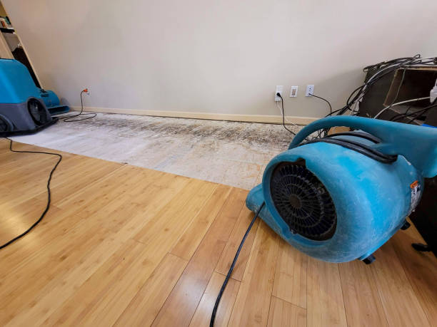 Professional Structural Drying technician working in Mahanoy City, PA
